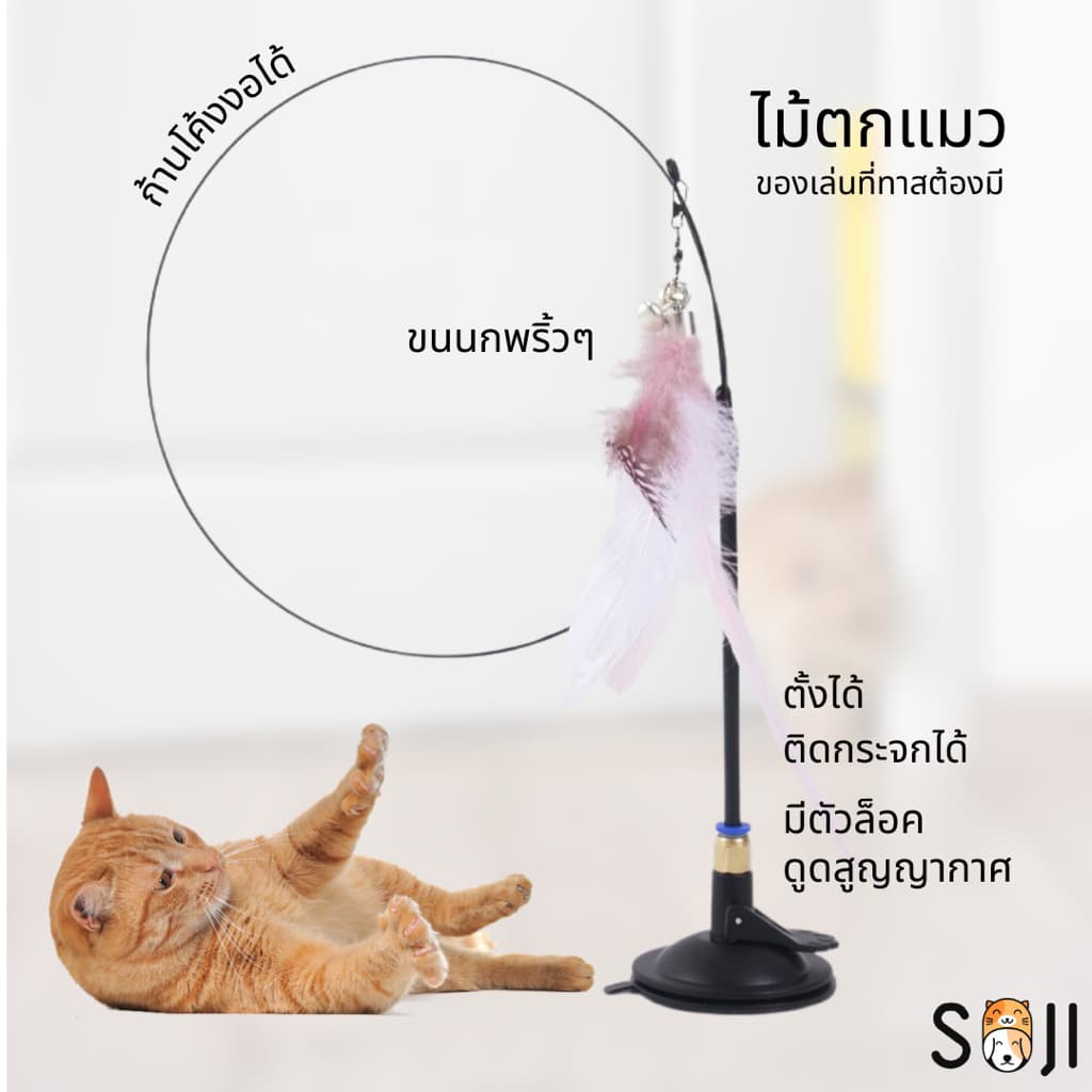 พร้อมส่ง🐱ไม้ล่อแมว ติดพื้นไม้ตกแมว ของเล่นแมว ของเล่นก้านยาว ขนนก แบบปุ่มดูดสุญญากาศ ถอดออกได้ สําหรับแมว Cat toy